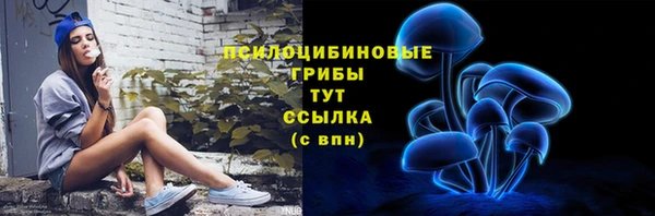 трава Кулебаки