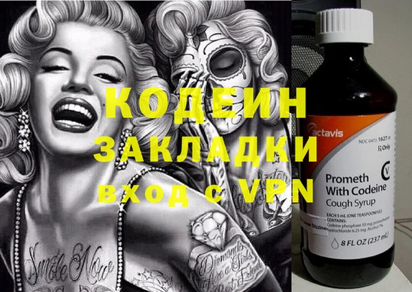 амф Ладушкин